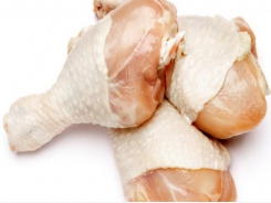 Poultry processing equipment may harbor persistent salmonella