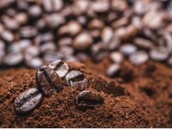 Coffee sector to expand intensive processing to add value