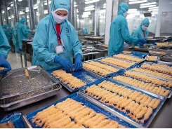 Vietnamese shrimp is leading in exports to Canada
