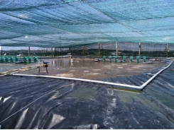 Improving Vietnam's aquaculture production and management in the digital age