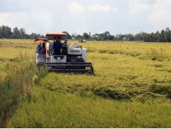 Kiên Giang sees positive results from restructuring agriculture, new-style rural areas