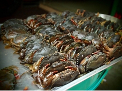 Vietnam’s crab exports to China skyrocket in first nine months of 2020