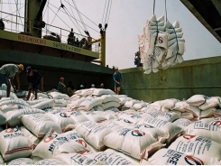 Vietnam’s door to export rice to UK market wide open