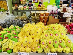 How to improve processing rate of vegetables and fruits for export?