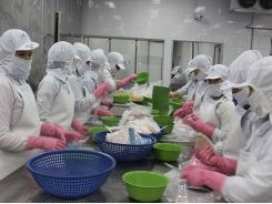 Tuna exports to the EU grow significantly