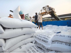 Improved rice quality helps export prices rise