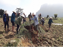 New Zealand supports Việt Nam in agricultural sector