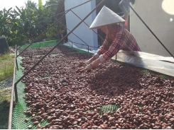 Vietnamese chocolate products have chance to enter to global market