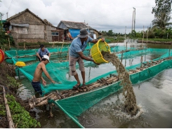 Warning of organic pollutants from aquaculture
