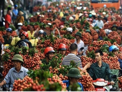 Vietnam's agriculture sector targets $40 billion export