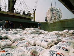 24 rice exporters have not exported rice for 18 months