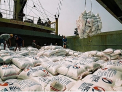 24 rice exporters have not exported rice for 18 months