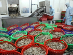 Decrease in in seafood exports expected as a result of new Chinese policy