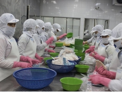 Seafood exports to China maintained at over US$1 billion