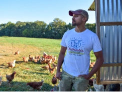 One farm tried to make sustainable food affordable - Here’s what happened