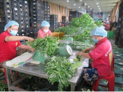 Ho Chi Minh City promotes local agricultural produce at affordable prices