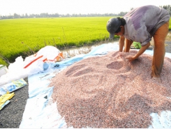 When water source for agriculture burdened with series of contamination