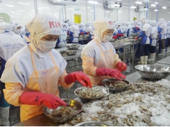 Promote processed shrimp exports to the US in the last months of the year