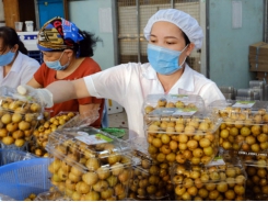 To establish a center for processing and preserving fruit applying Japanese standards