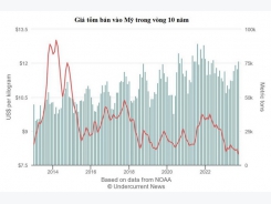 Mỹ liên tục tăng nhập khẩu tôm