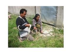 Độc Đáo Nuôi Rắn Bán Hoang Dã