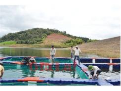 Nuôi Cá Nước Ngọt Hướng Đến Mục Tiêu Mở Rộng Diện Tích Nuôi Trồng