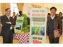 Trang Trại Chuối Laba Điền Công Tâm