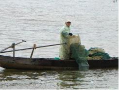 Sau Tết giá tôm cá tăng gấp 3, dân ngày đêm đi thả lưới lồng