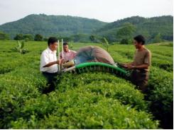 Tuyên Quang đẩy mạnh tín dụng cho nông nghiệp