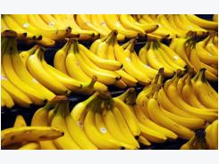 Japan now open to Vietnam banana growers