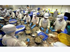 South Korea raises scrutiny on frozen Vietnamese shrimp
