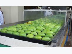 Viet Nam targets vegetable, fruit export value at $3b