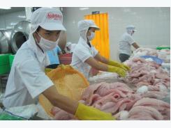 Tra fish exports not greatly affected by Carrefour