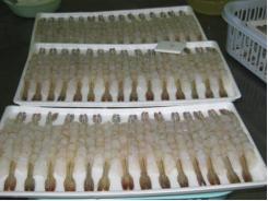 Rise in VN shrimp exports to Australia in Nov 2016
