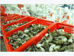 Gov't, ministries, bankers and businesses cooperate to breed shrimp