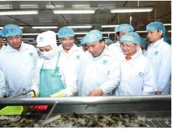 PM tours shrimp processing corporation in Ca Mau