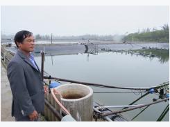 Quảng Bình: Chuyện con tôm ở Ngư Thủy Trung