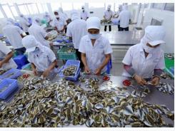 Seafood firms urged to register online