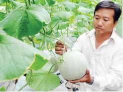 VN Central Bank pledges to offer $4.39 billion credit package for hi-tech agriculture