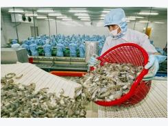 Australia Eases Shrimp Imports