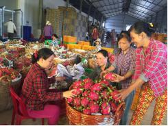 Giá thanh long ruột đỏ tăng mạnh