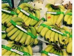 Viet Nam’s vegetable, fruit export value up by 14% in Jan