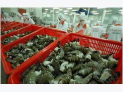 Trade ministry calls on Australian Government to lift ban on shrimp imports