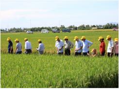 Ninh Thuận: Hướng đến xây dựng nền nông nghiệp công nghệ cao