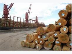 Lack of timber threatens wood industry