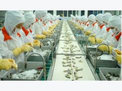Viet Nam shrimp exports inched up in 2016