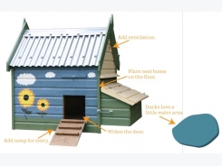 How to Convert a Chicken Coop into a Duck House