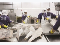 The seafood exporters improve the quality of export