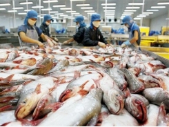 Vietnam’s seafood exports hit record high in 2017