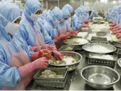 Vietnam shrimp exports to touch USD 3.8 billion